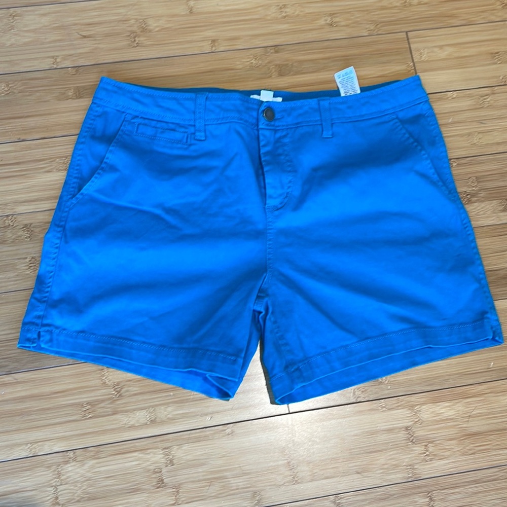 Market Spruce Shorts in Turquoise
